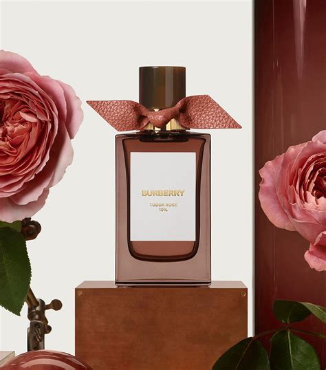 Burberry tudor rose harrods